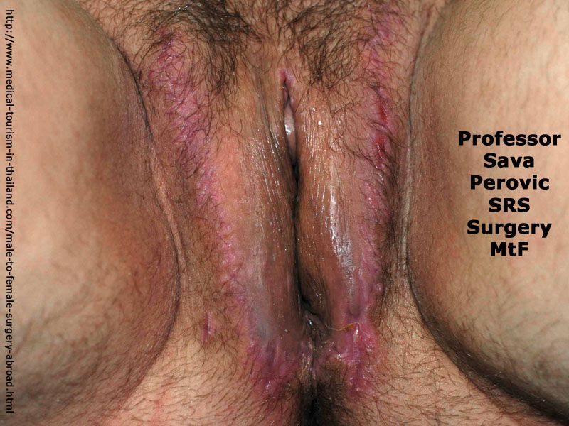 800px x 600px - Transgender Male Female Pussy - Hot Sex Pics, Best XXX Photos and Free Porn  Images on www.metasex.net